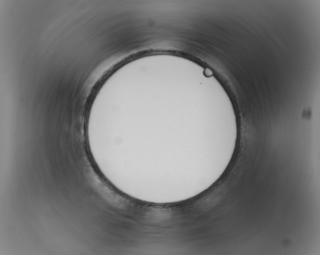 X0000113170935200910161304