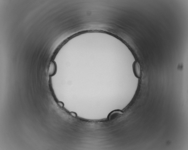 X0000113170936200910161304