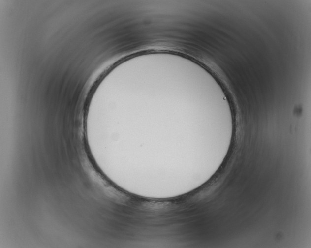 X0000113170939200910161304