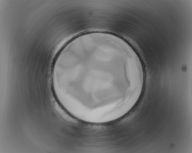 X0000113170941200910161304