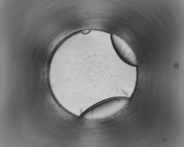 X0000113170944200910161304