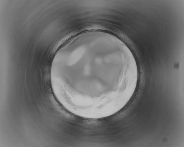 X0000113170945200910161304
