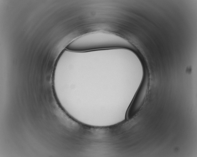 X0000113170946200910161304