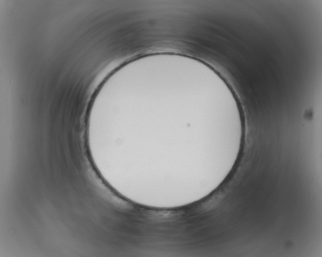 X0000113170949200910161304