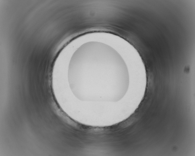 X0000113170950200910161304