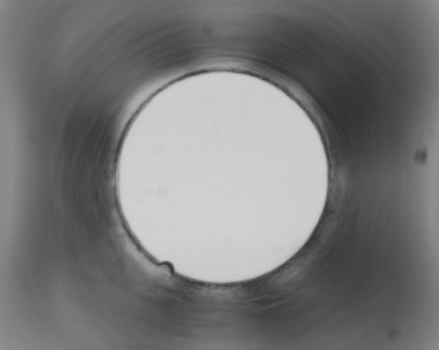 X0000113170951200910161304