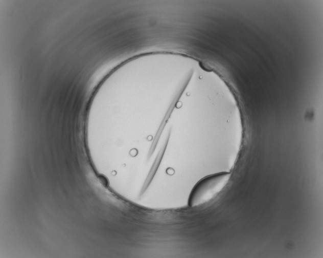 X0000113170952200910161304