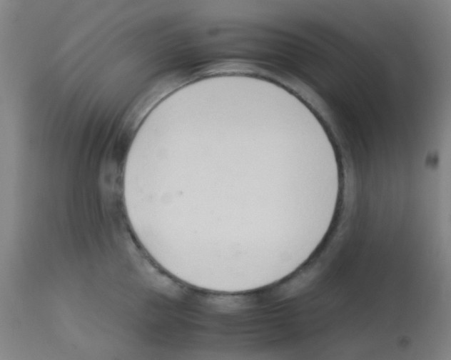 X0000113170953200910161304