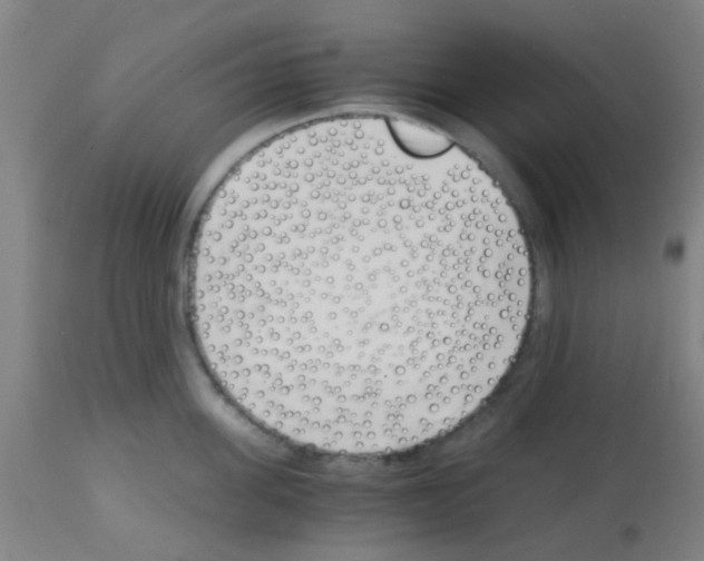 X0000113170955200910161304