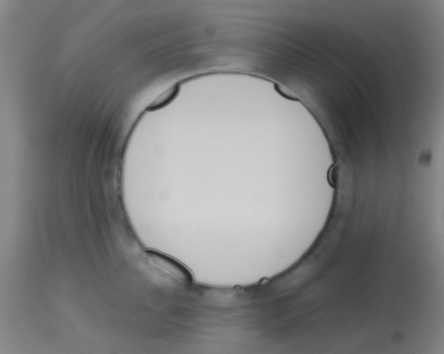 X0000113170956200910161304