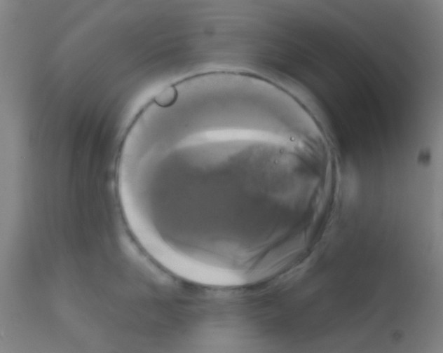 X0000113170958200910161304