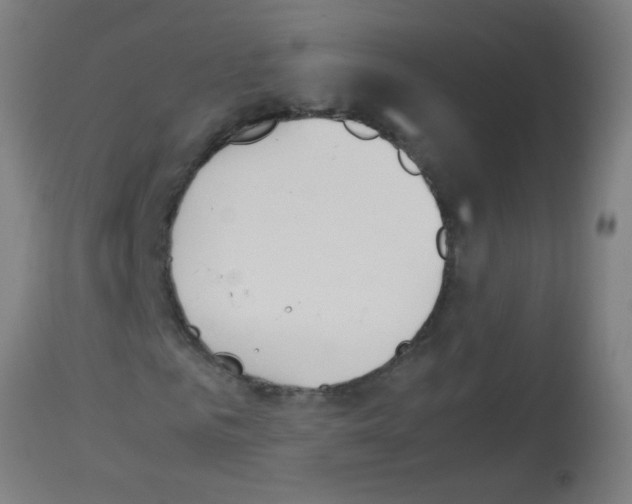 X0000113170961200910161304