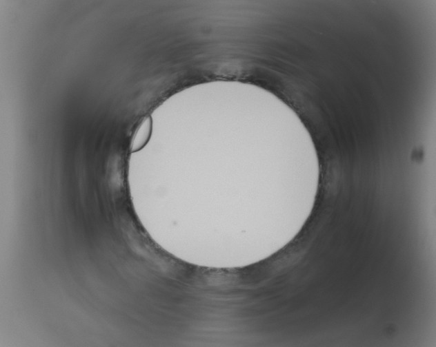 X0000113170962200910161304