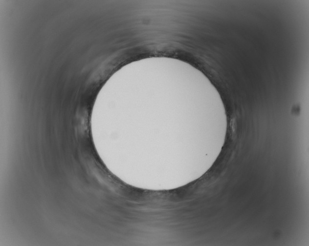 X0000113170963200910161304