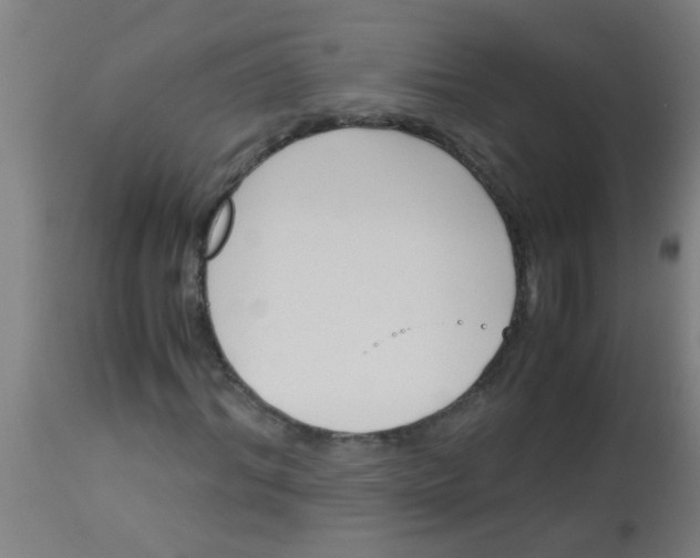 X0000113170964200910161304