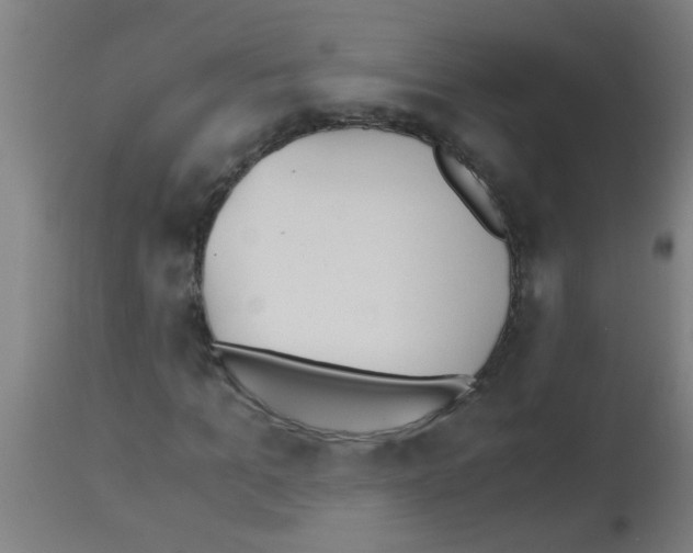 X0000113170965200910161304