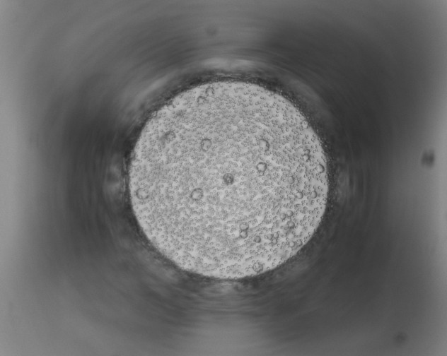 X0000113170966200910161304