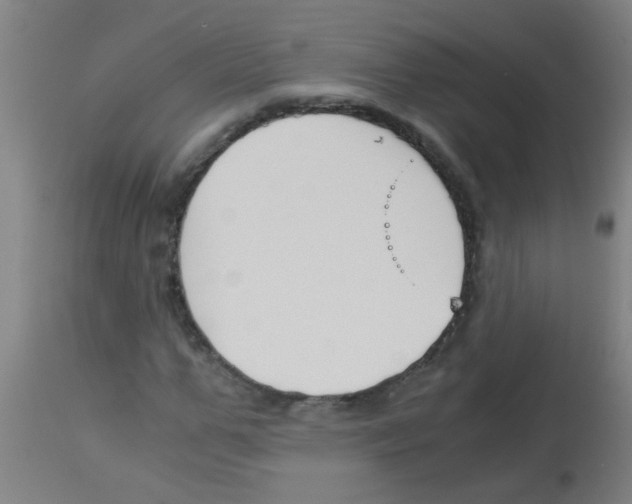 X0000113170967200910161304