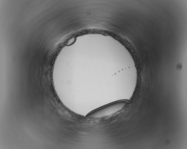 X0000113170968200910161304