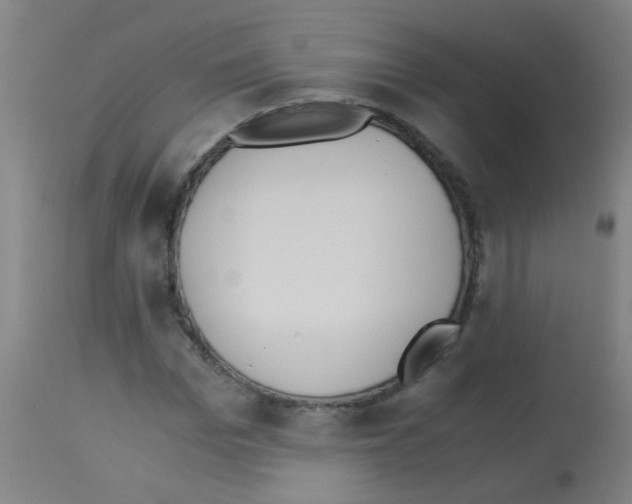 X0000113170969200910161304