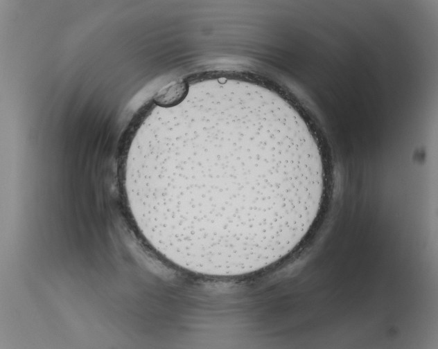 X0000113170970200910161304