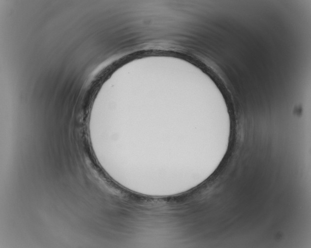 X0000113170971200910161304