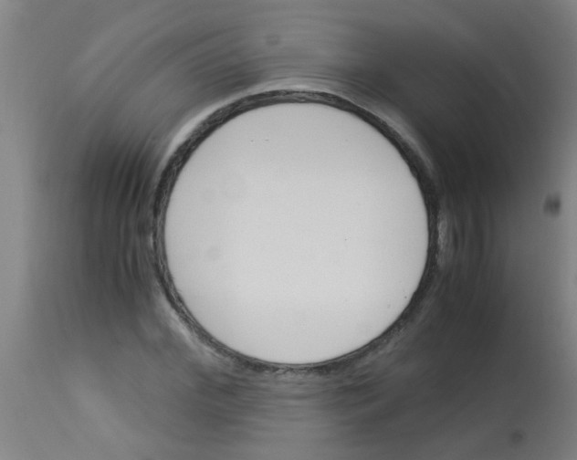 X0000113170972200910161304