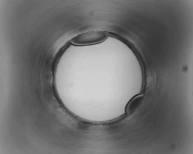 X0000113170973200910161304