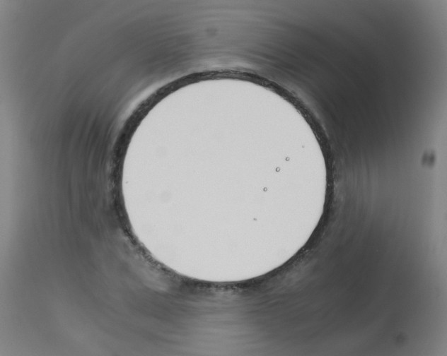 X0000113170975200910161304