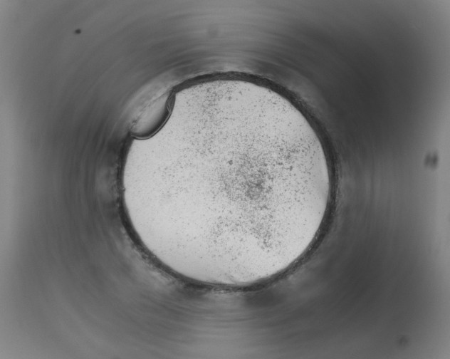 X0000113170977200910161304