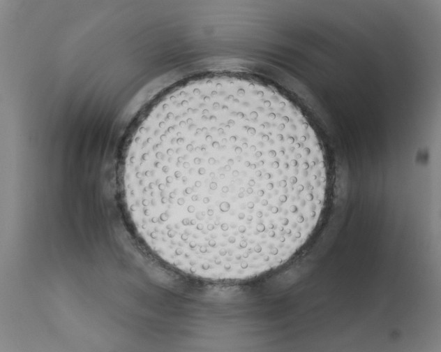 X0000113170978200910161304