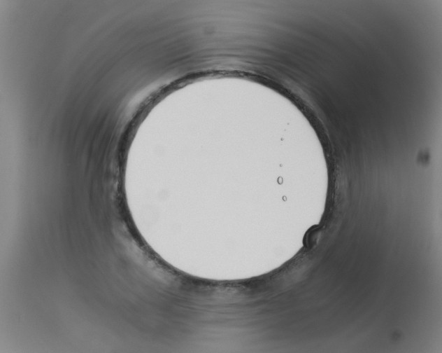 X0000113170979200910161303