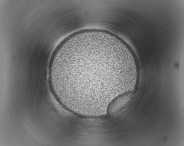 X0000113170980200910161303