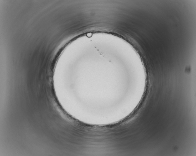 X0000113170981200910161303