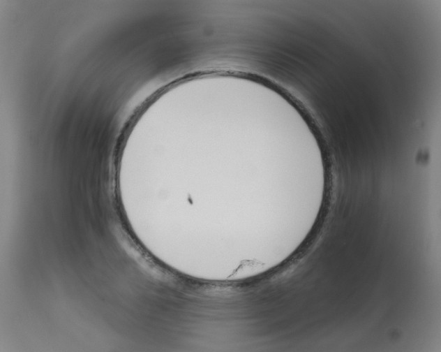 X0000113170982200910161303