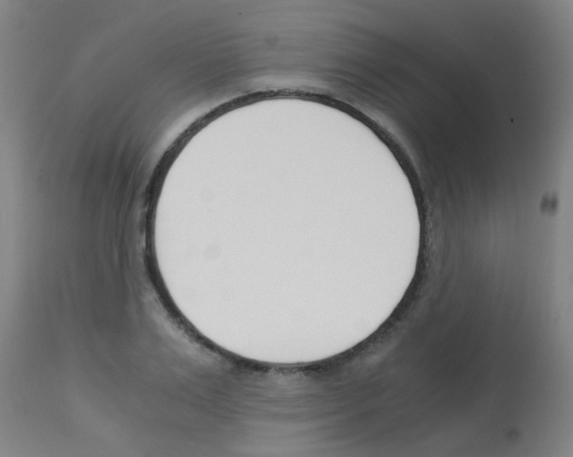 X0000113170983200910161303