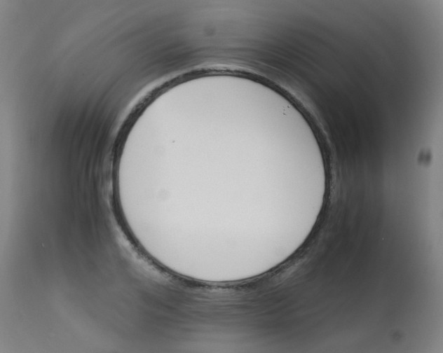 X0000113170984200910161303