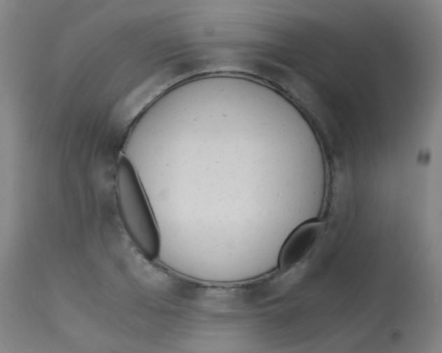 X0000113170985200910161303
