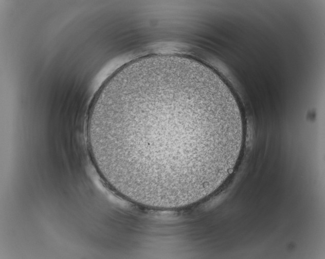 X0000113170986200910161303