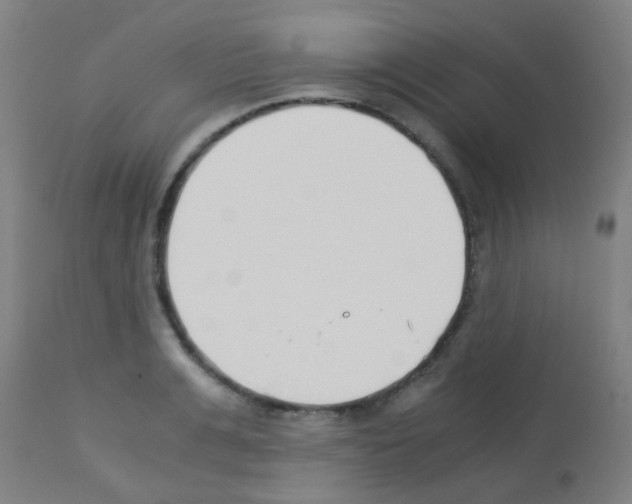 X0000113170991200910161303
