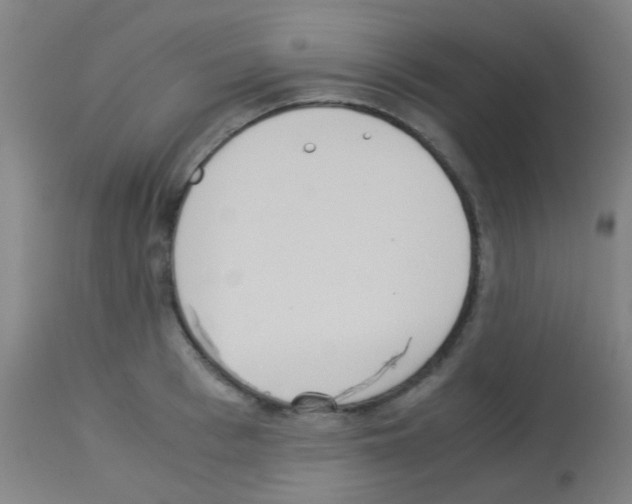 X0000113170993200910161303