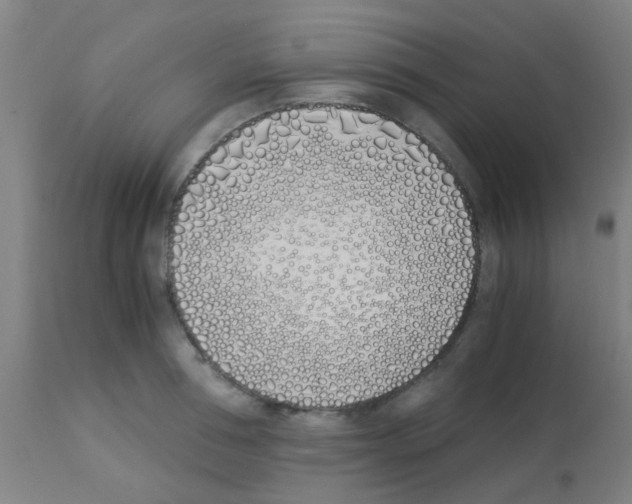 X0000113170994200910161303