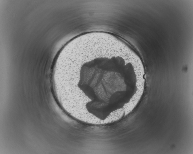 X0000113170995200910161303