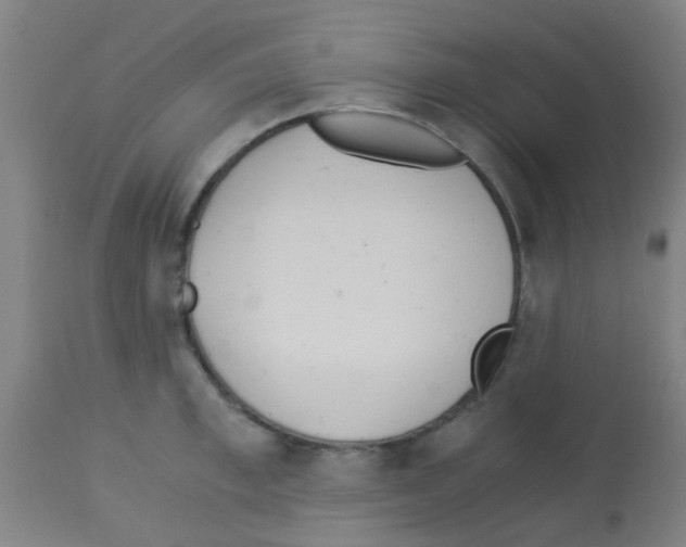 X0000113170997200910161303