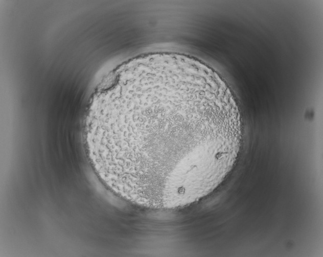 X0000113170998200910161303