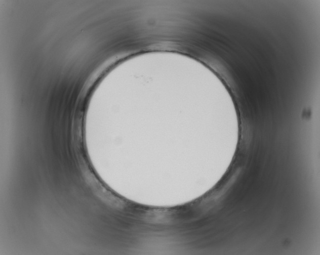 X0000113171000200910161303
