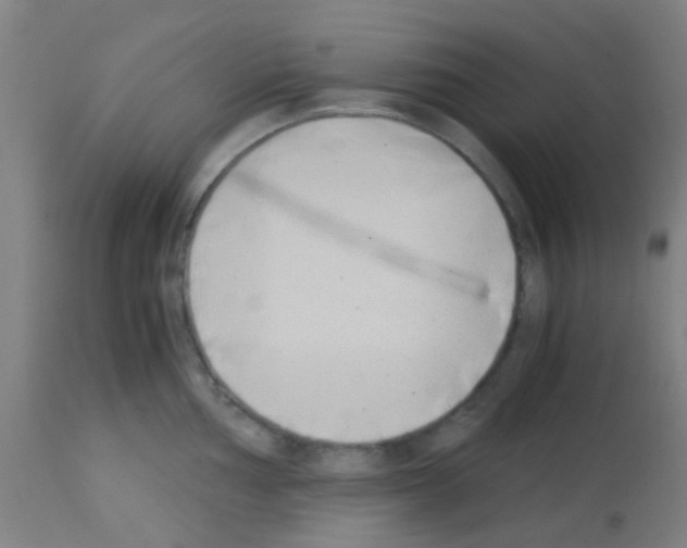 X0000113171002200910161303