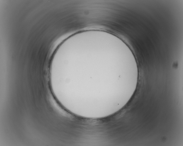 X0000113171003200910161303
