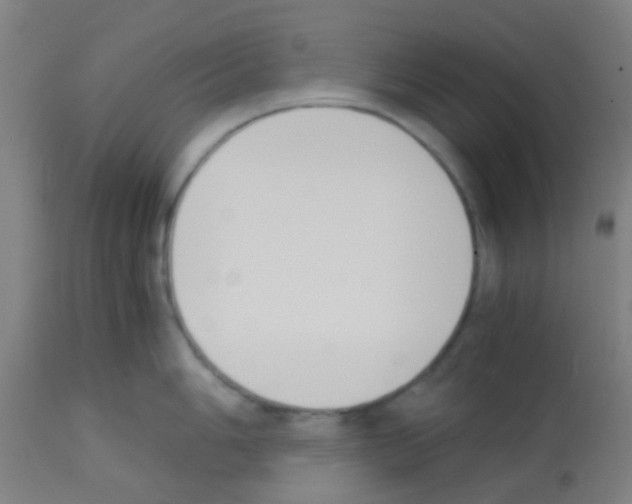X0000113171006200910161303