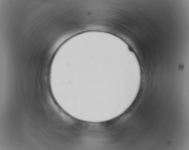 X0000113171007200910161303